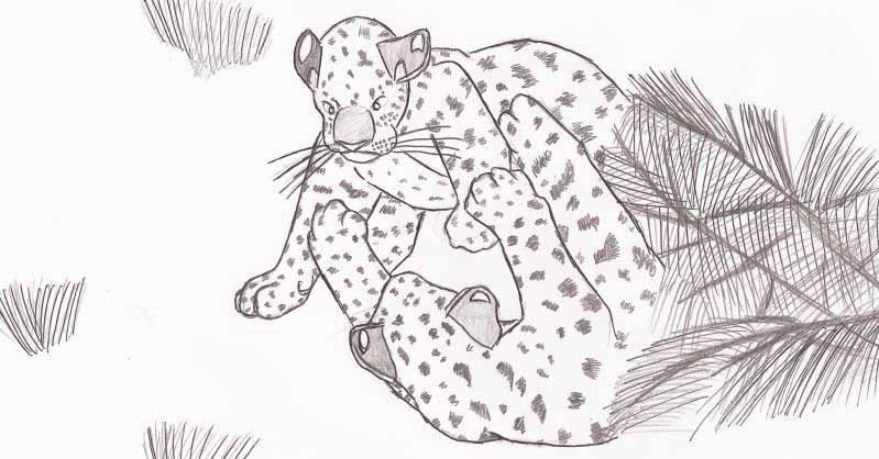 Leopard Cubs Playing