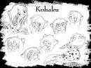 Concept Emotions
