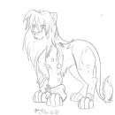 Rocki