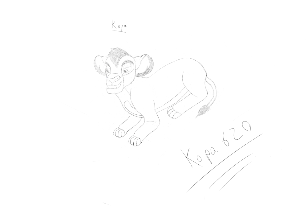Kopa