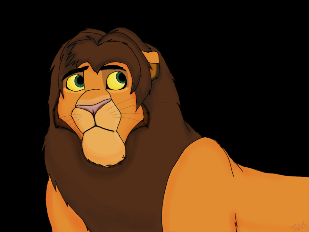 Kopa