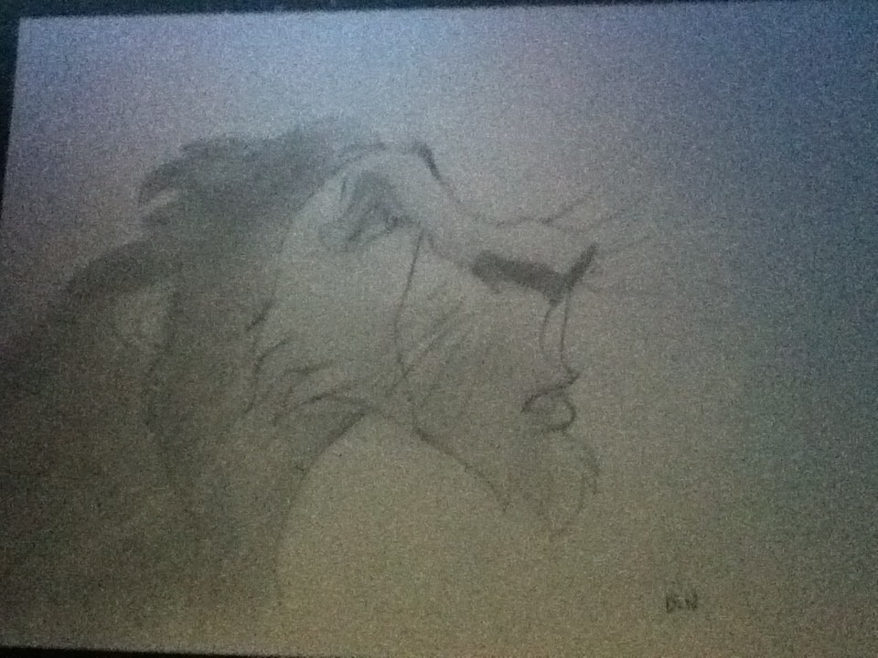 scar