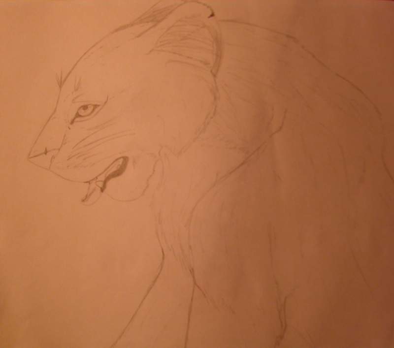 Real Lion
