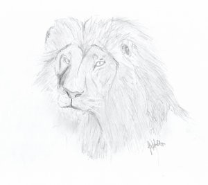Realistic Mufasa - Old