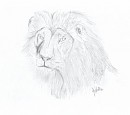 Realistic Mufasa - Old