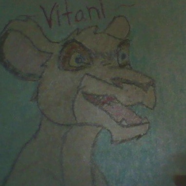 Vitani