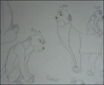 new draw
