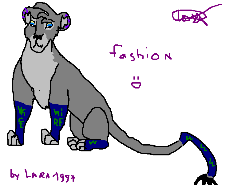 fashion