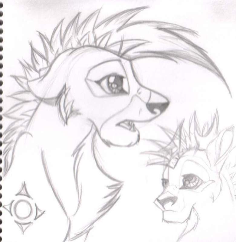 Lotola sketchy
