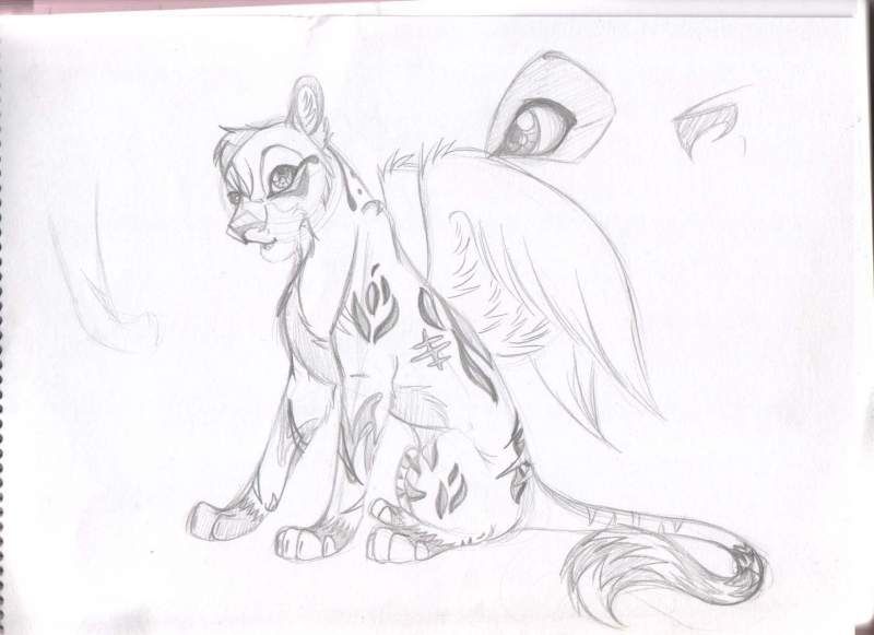 Nishati sketch