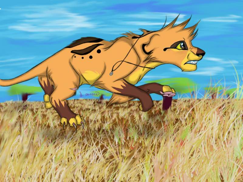 I run