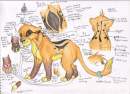 Fursona ref