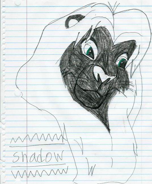 Shadow