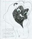 Shadow