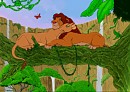 Simba and Nala in the Jungle