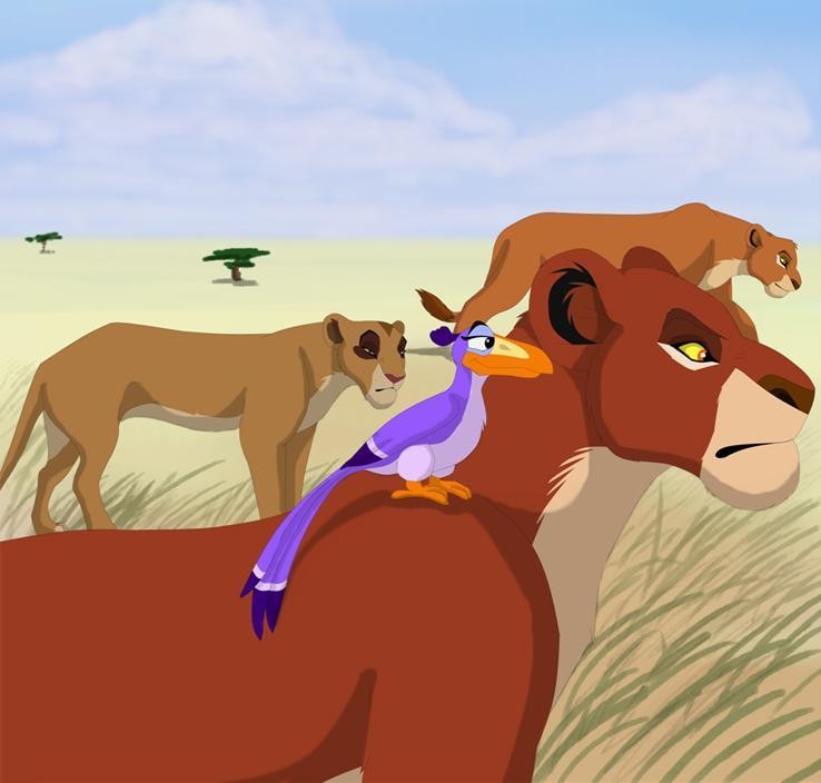 Kopa Abuse