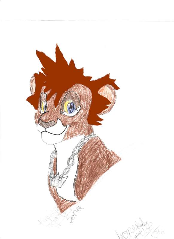 Sora lion