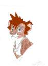 Sora lion