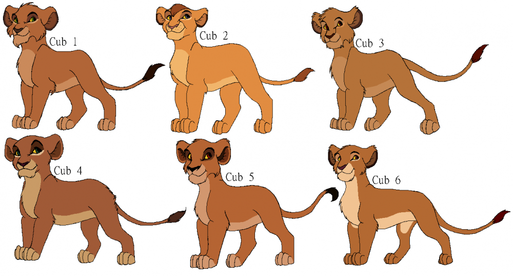 TLK related adoptables