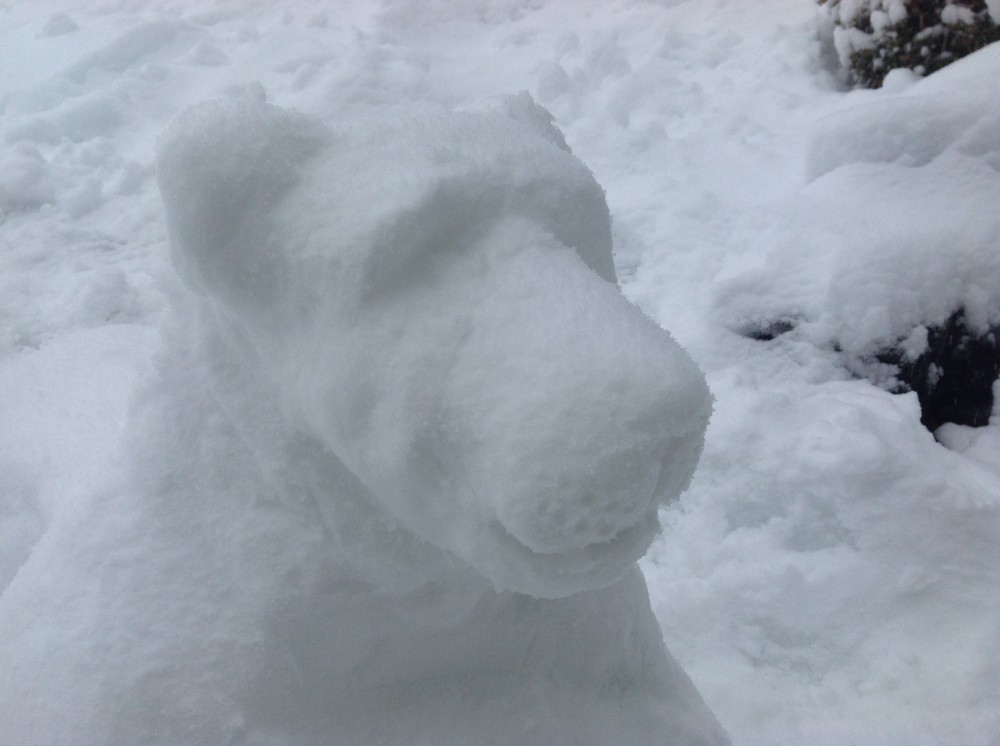 Snow Sarabi 2