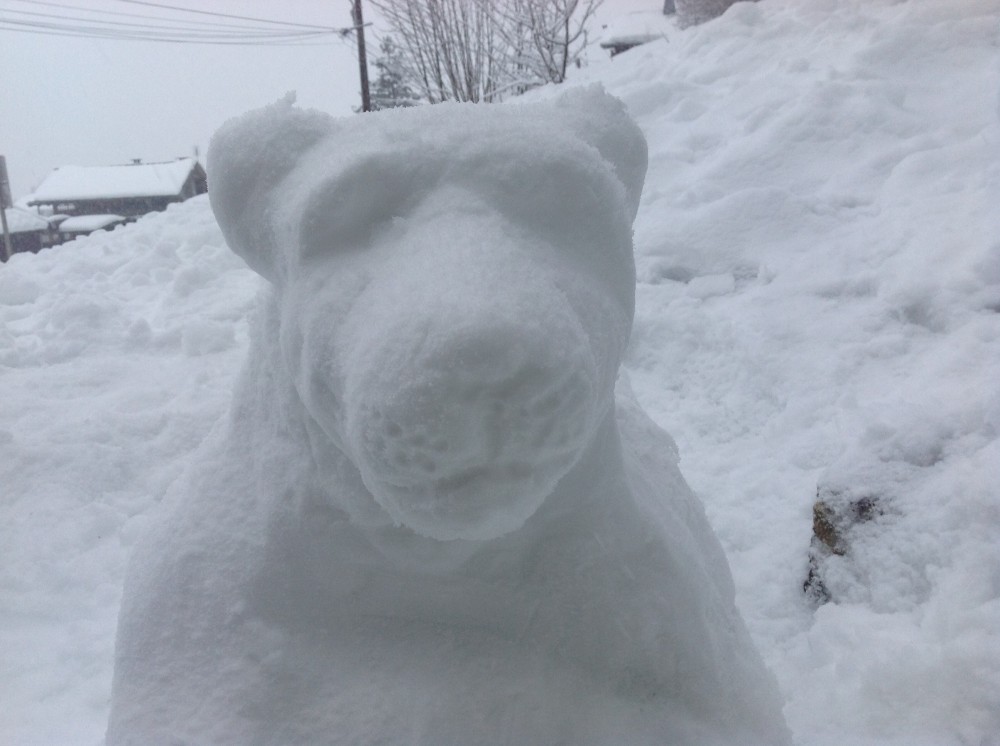 Snow Sarabi 3
