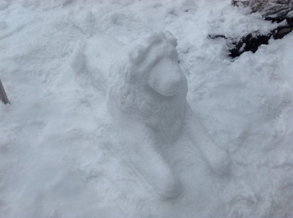 Snow Mufasa