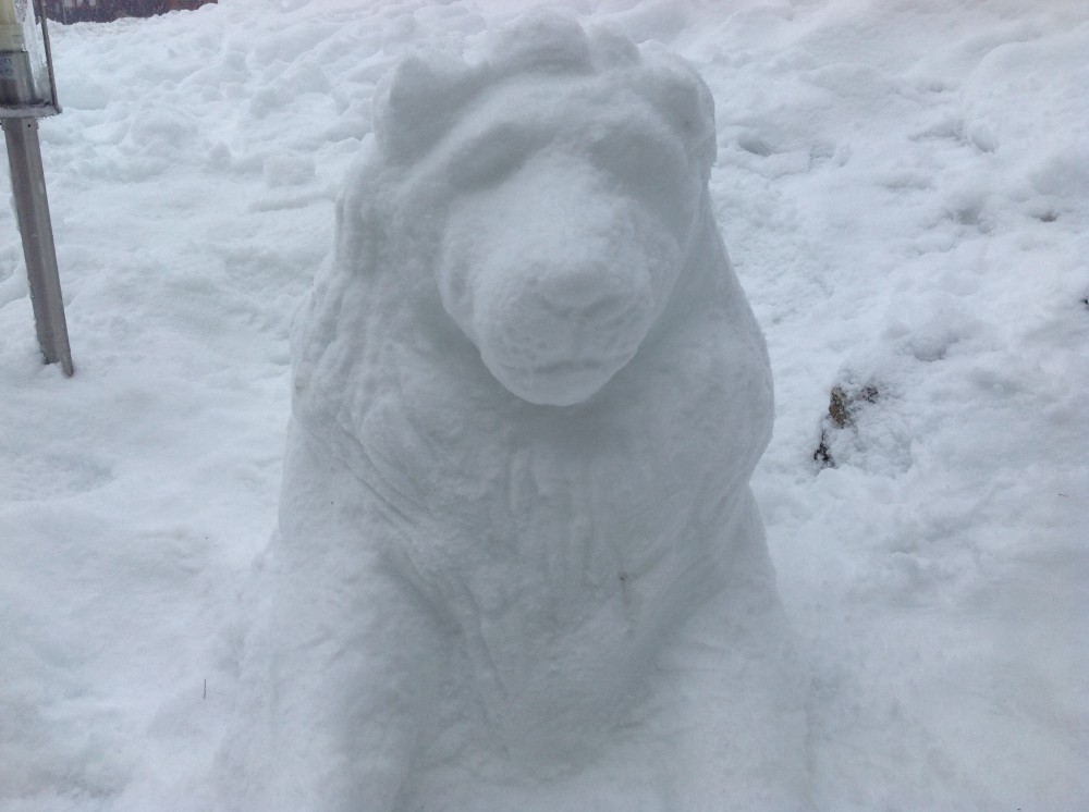 Snow Mufasa 2