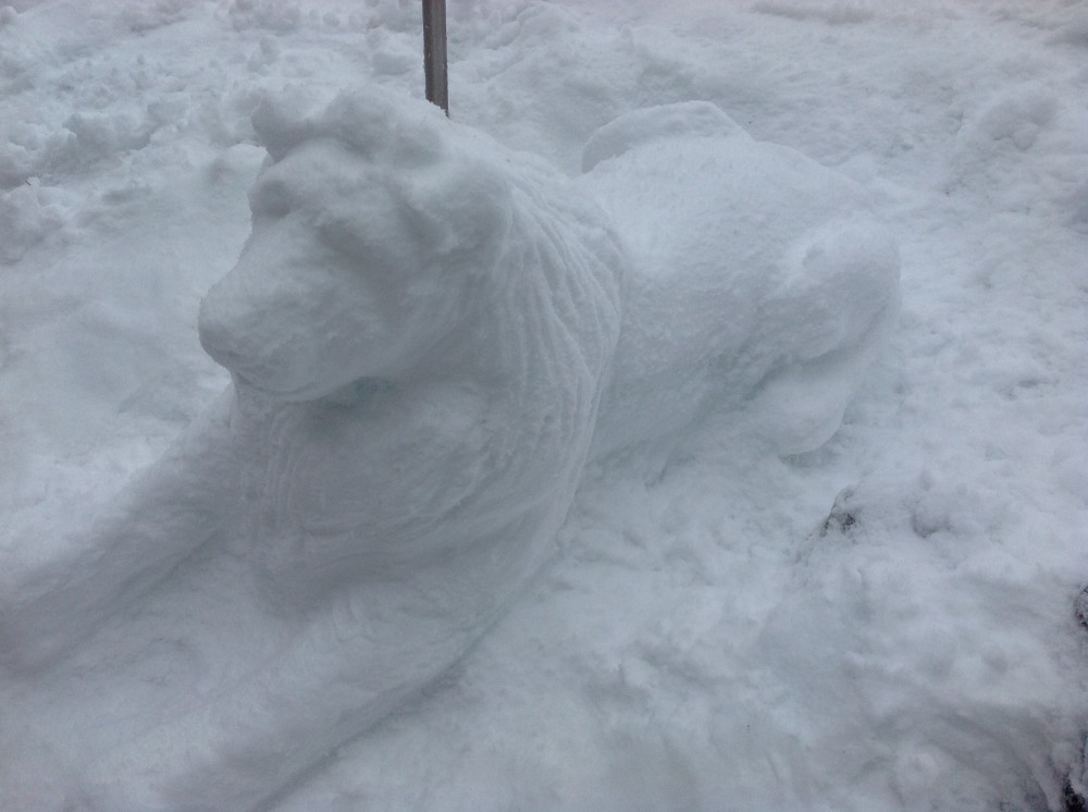Snow Mufasa 3