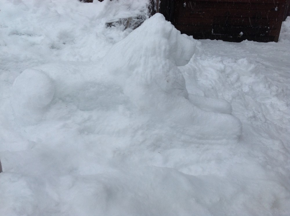 Snow Mufasa 4