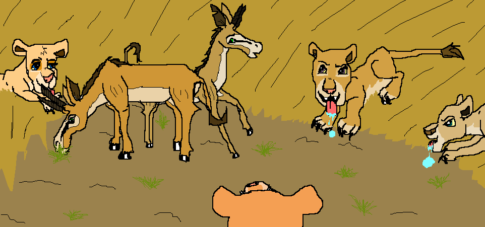Antelopes in trouble!