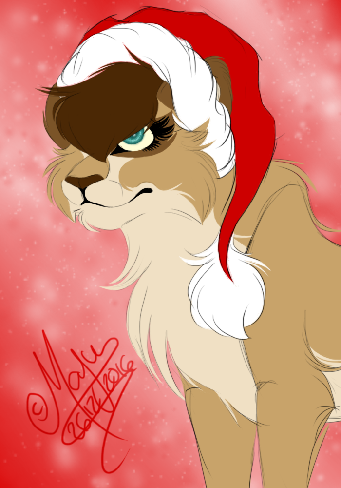 Yay.... Christmas.....