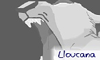 lloucana