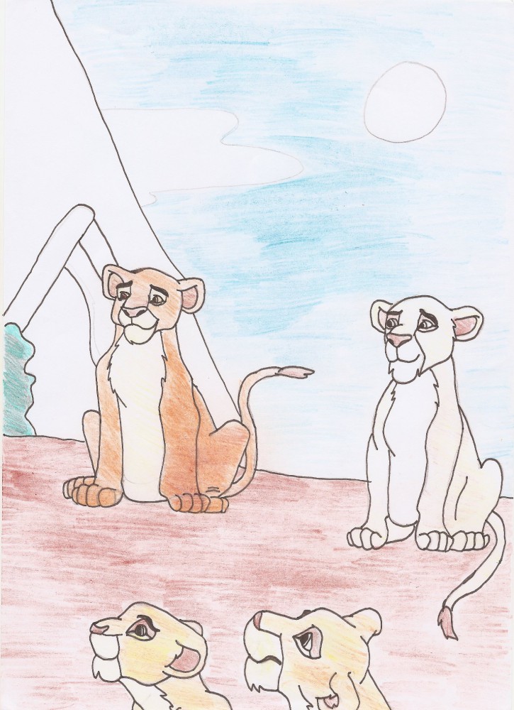 Lionnes of terre des lions