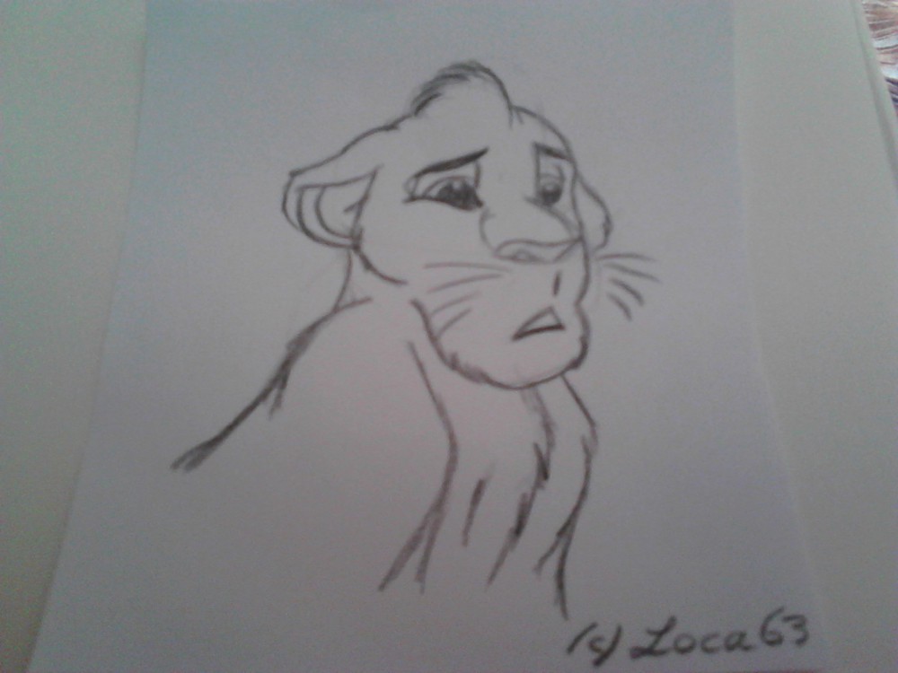 Mega lionceau