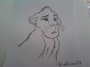Mega lionceau