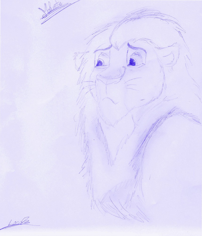Mheetu version 