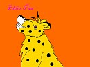 Elder Paw - My Brother