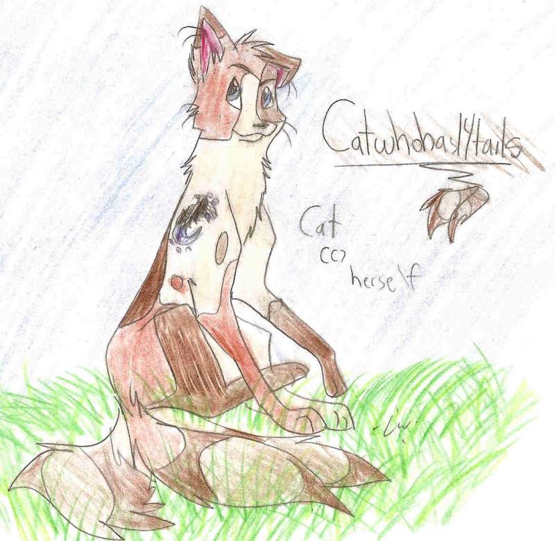 Cat's new self!