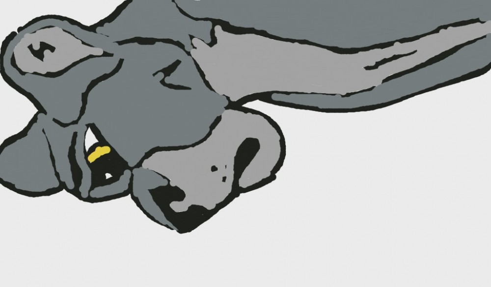 Grey Uru