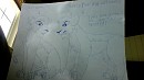 Vitanni Theory