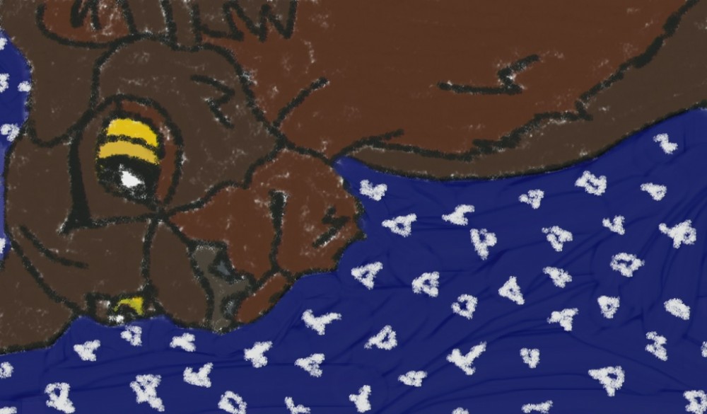 Kula in the night time