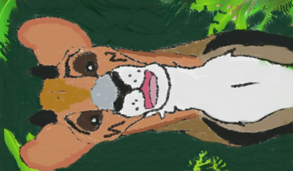 Another version of Swala