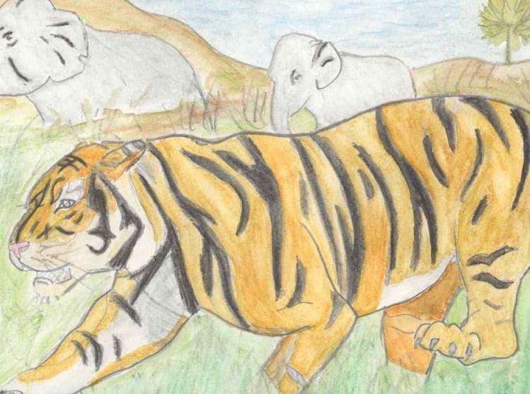 tigre