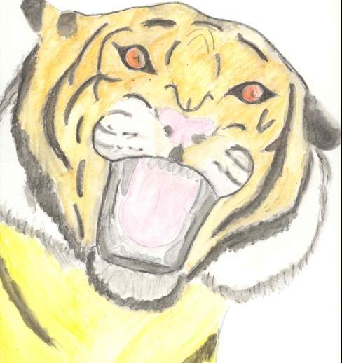 un autre tigre
