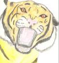 un autre tigre