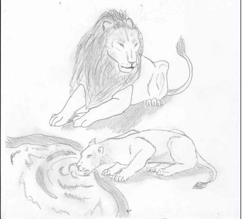 lion et lionne