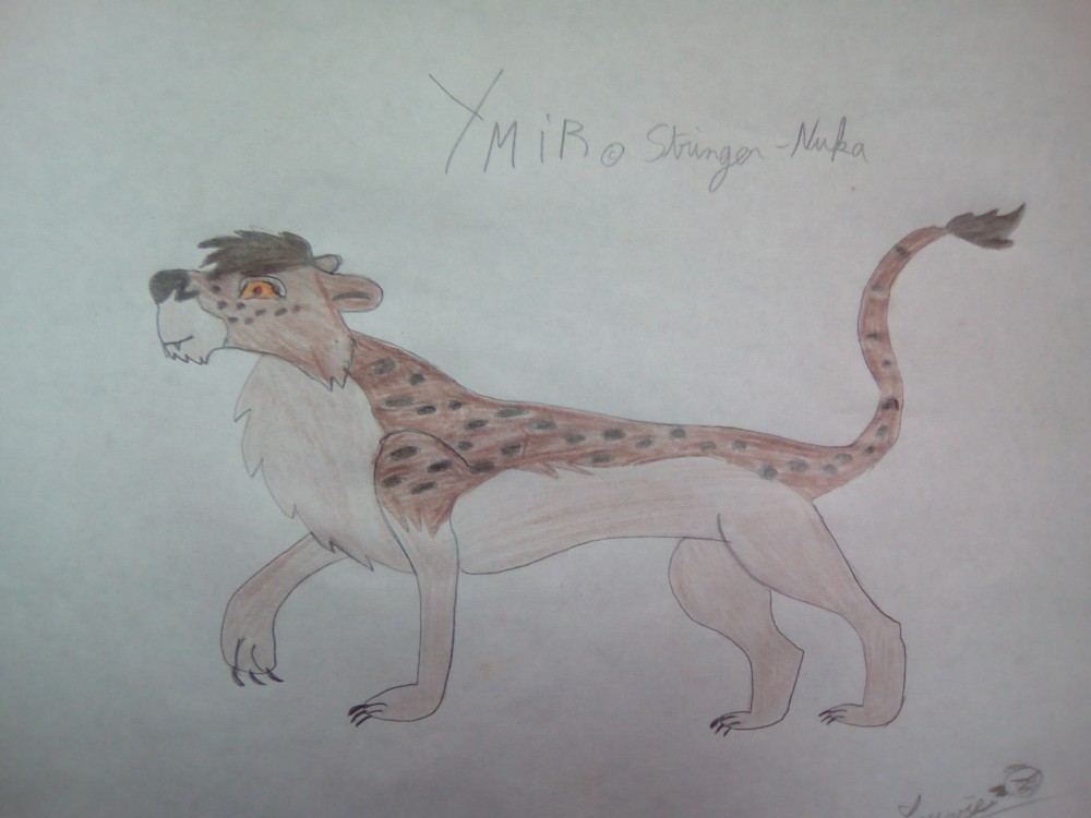 Ymir pour Stringer 