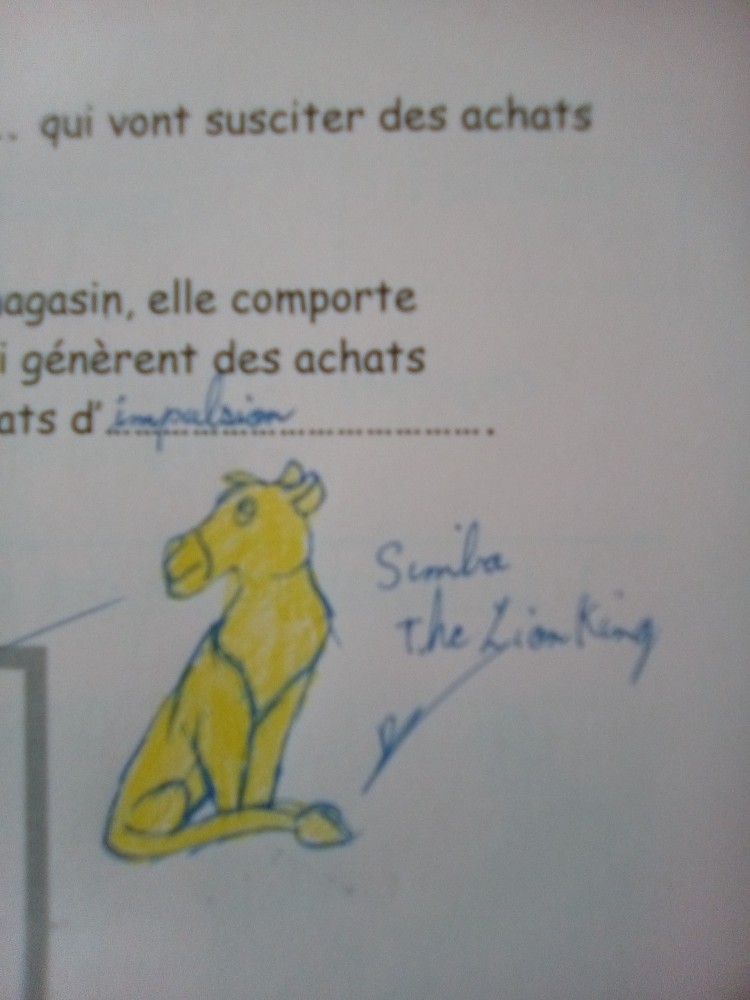 Mon magnifique cours de Commerce