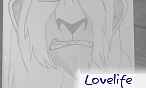 lovelife