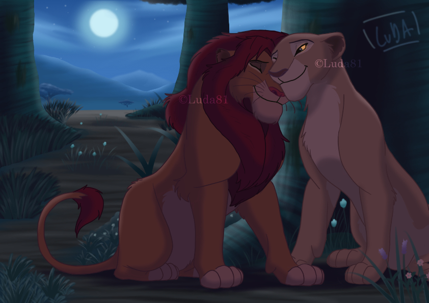Simba & Nala : At peace at night